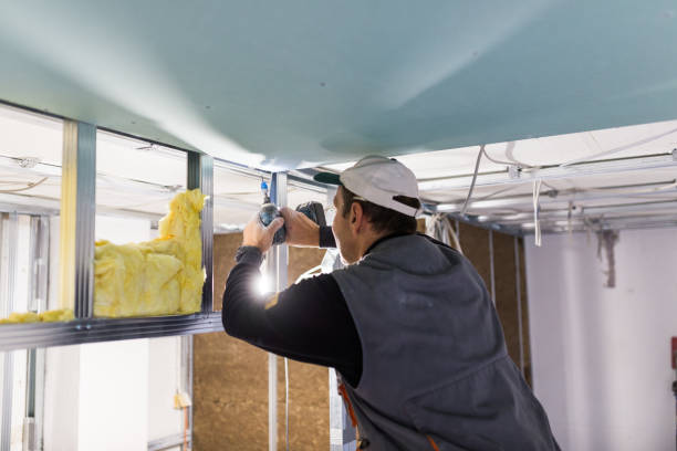 Best Insulation Contractor Near Me  in Gillett, WI