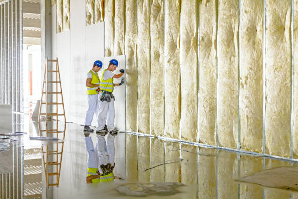 Insulation Contractors for Homes in Gillett, WI